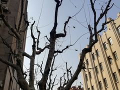 -万宝财富商业广场