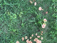 -天鹅湖体育公园