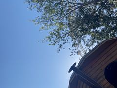 -南戴河国际娱乐中心