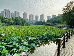 -龙头寺公园