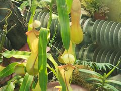 -国家植物园南园