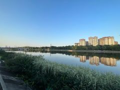 -眉山湿地公园(东坡区)
