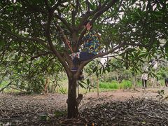 -塘栖枇杷特色园区