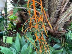 -华南国家植物园-售票处