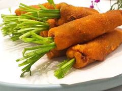 -丁老爷子苏香圆