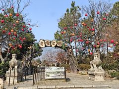 -茅山东方盐湖城景区