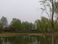 -东郊湿地公园