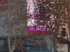 -CGV影城(世纪4DX店)