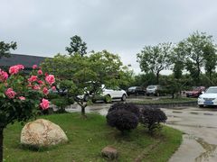 -呼吸森林·生态农庄农家乐私房菜