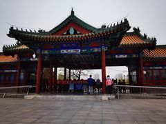 -莲花池公园