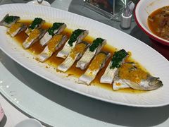 -九十九顶毡房(清河店)