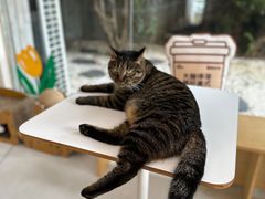 -W Coffee(船板巷店)