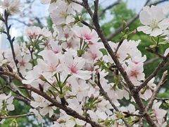 -文华公园(禅城区)