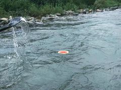 -千岛湖九龙溪漂流