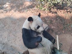 -济南野生动物世界