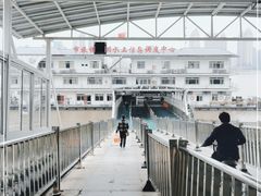 -武汉关码头(轮渡站)