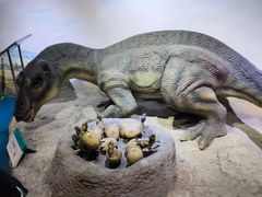 -国家自然博物馆