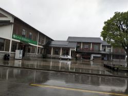 -水八仙生态园