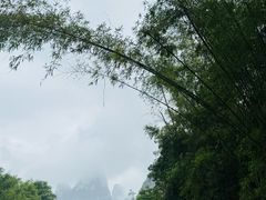 -明仕田园