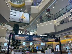 -野人先生Gelato(上海长宁龙之梦店)