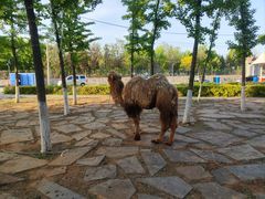 -房山世界地质公园博物馆