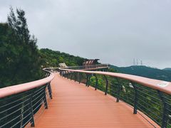 -东澳岛