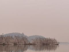 -东湖落雁景区