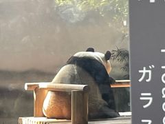 -苏州太湖国家湿地公园
