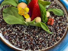 -素心小筑(后沙裕镇店)