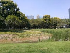 -后襄河公园