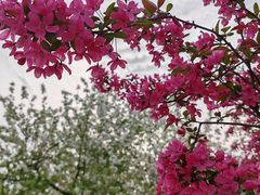 -上海辰山植物园
