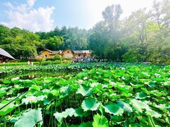 -韶山毛泽东同志故居