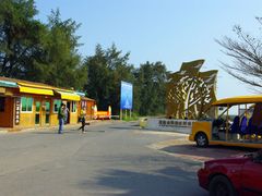 -北海金海湾红树林生态旅游区