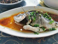 -七鲜渔港美食餐厅(巽寮湾海景店)