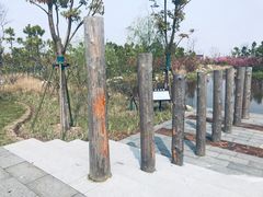 -春花秋色城市公园