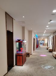 -长沙雅美医疗美容医院