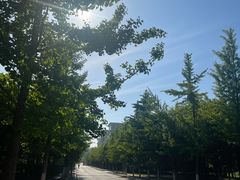 -辽宁对外经贸学院