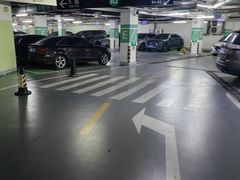 -复旦软件园·智慧新天地-停车场