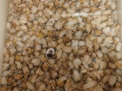 -超越海鲜屋(飞龙物业店)