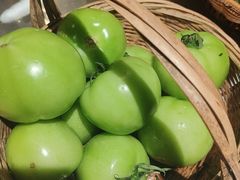 -魏铭鱼头捞饭(嘉善店)