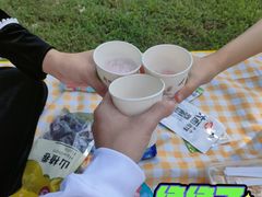 -南宁南湖公园