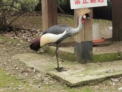 -黔灵山公园
