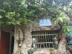 -瑞丽独树成林风景区