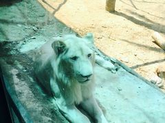 -泉州海丝野生动物世界