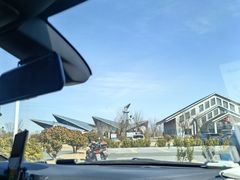 -盐城丹顶鹤湿地生态旅游区