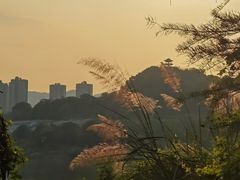 -金海湾滨江公园