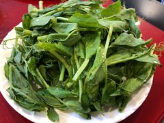 -四川简阳羊肉汤火锅(望花路西里店)