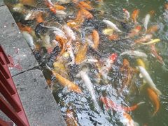 -珠海圆明新园