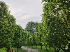 -荔香公园