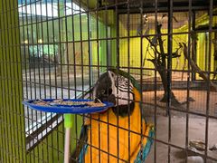 -北京野生动物园